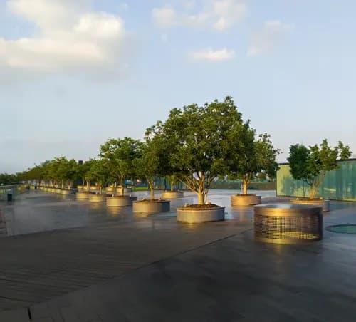 Landscaped deck with planted trees at Niwa & Neo